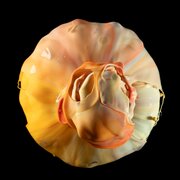60a4293-kopie-2.jpg