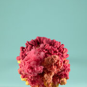 fog.jpg